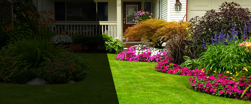 Sachse Landscapers